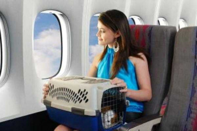 Animals in hand luggage
